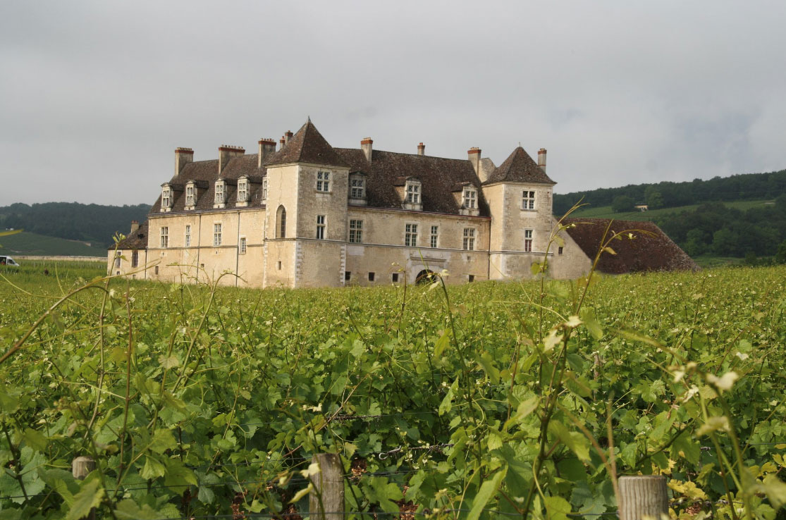 bourgogne-discovery-chateau-clos-vougeot bourgogne-discovery-chateau-clos-vougeot